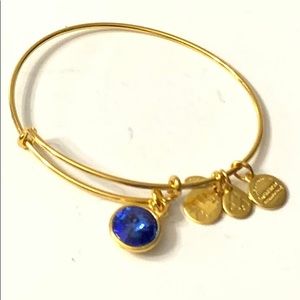 Alex n Ani bracelet